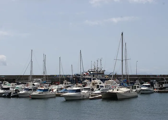 Cozy And Bright 公寓 *